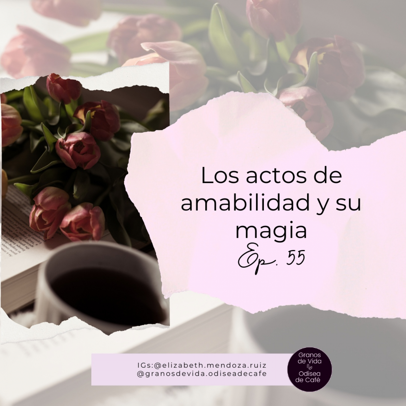 Granos de Vida/Odisea de Café
