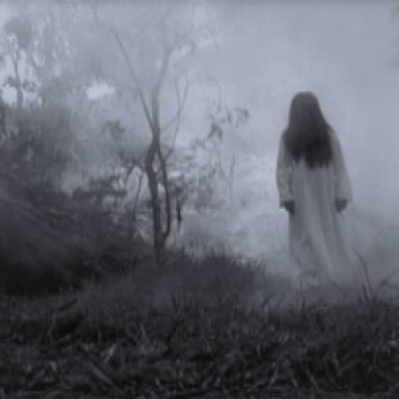 LOS FANTASMAS DEL SECRETO(Redifusión)