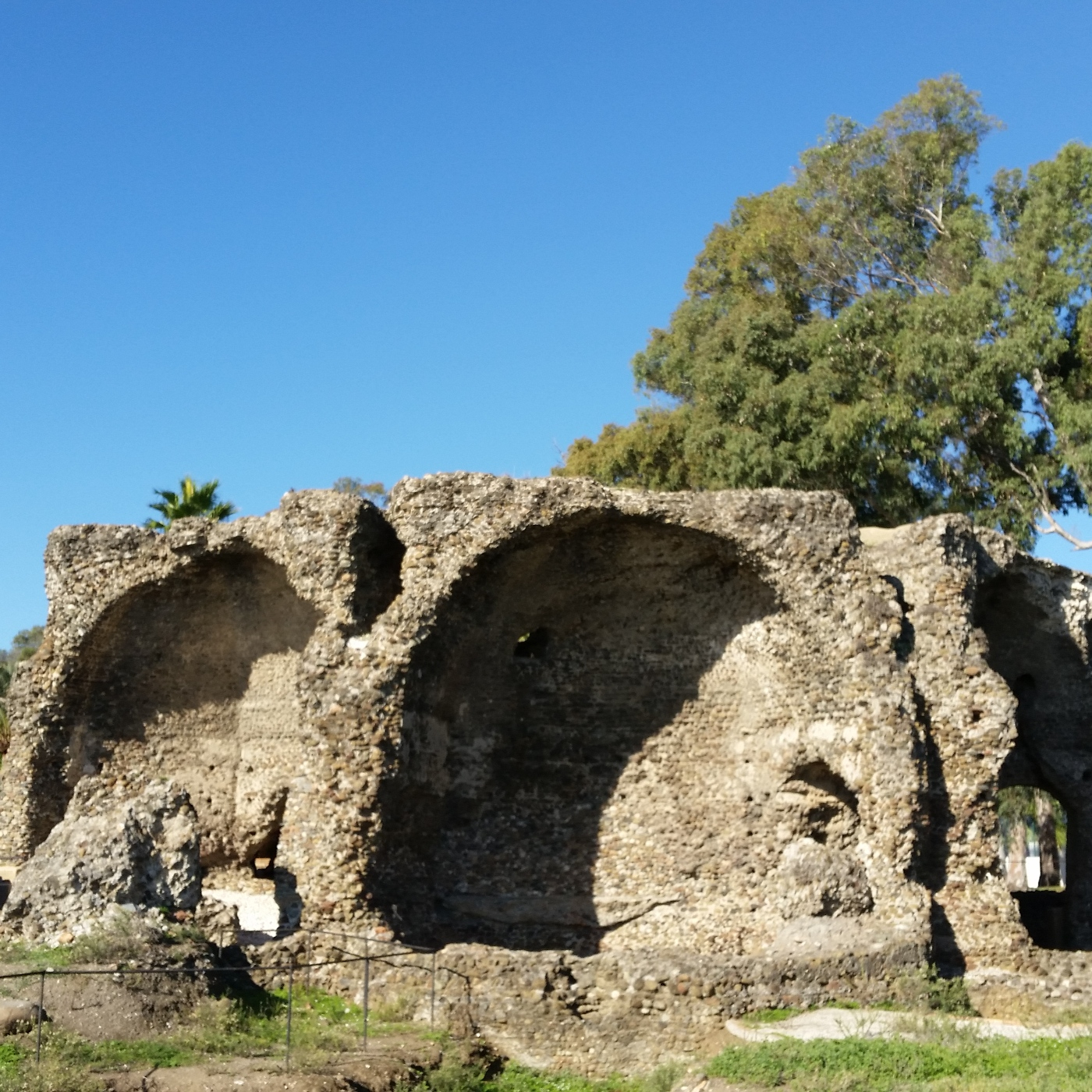 Crónicas de San Pedro Alcántara