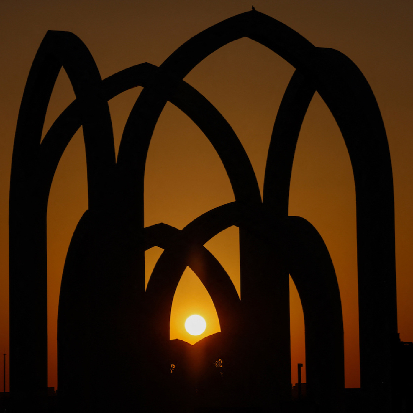 Cuentos del bosque oscuro