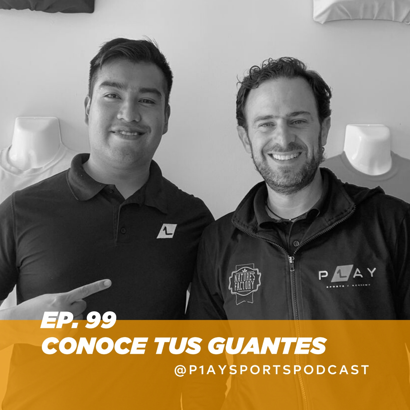 P1ay Sports Podcast