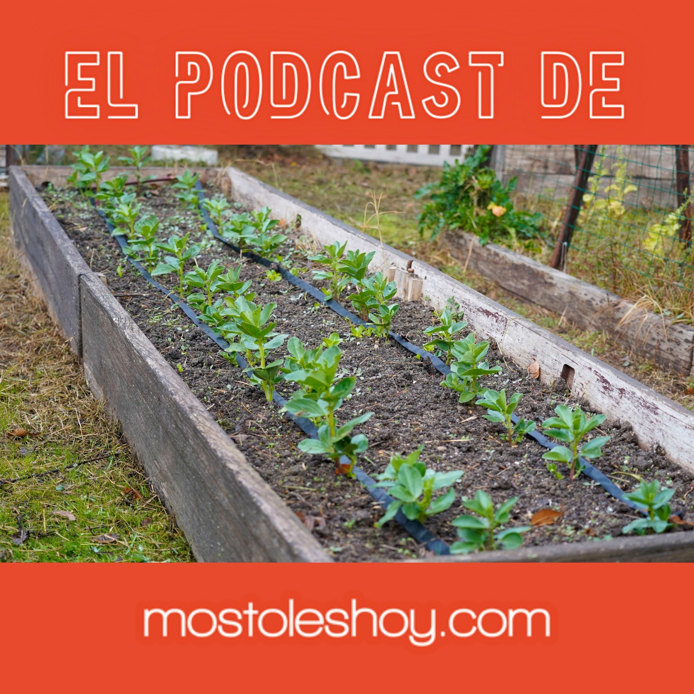 mostoleshoy.com - Tus noticias de Móstoles