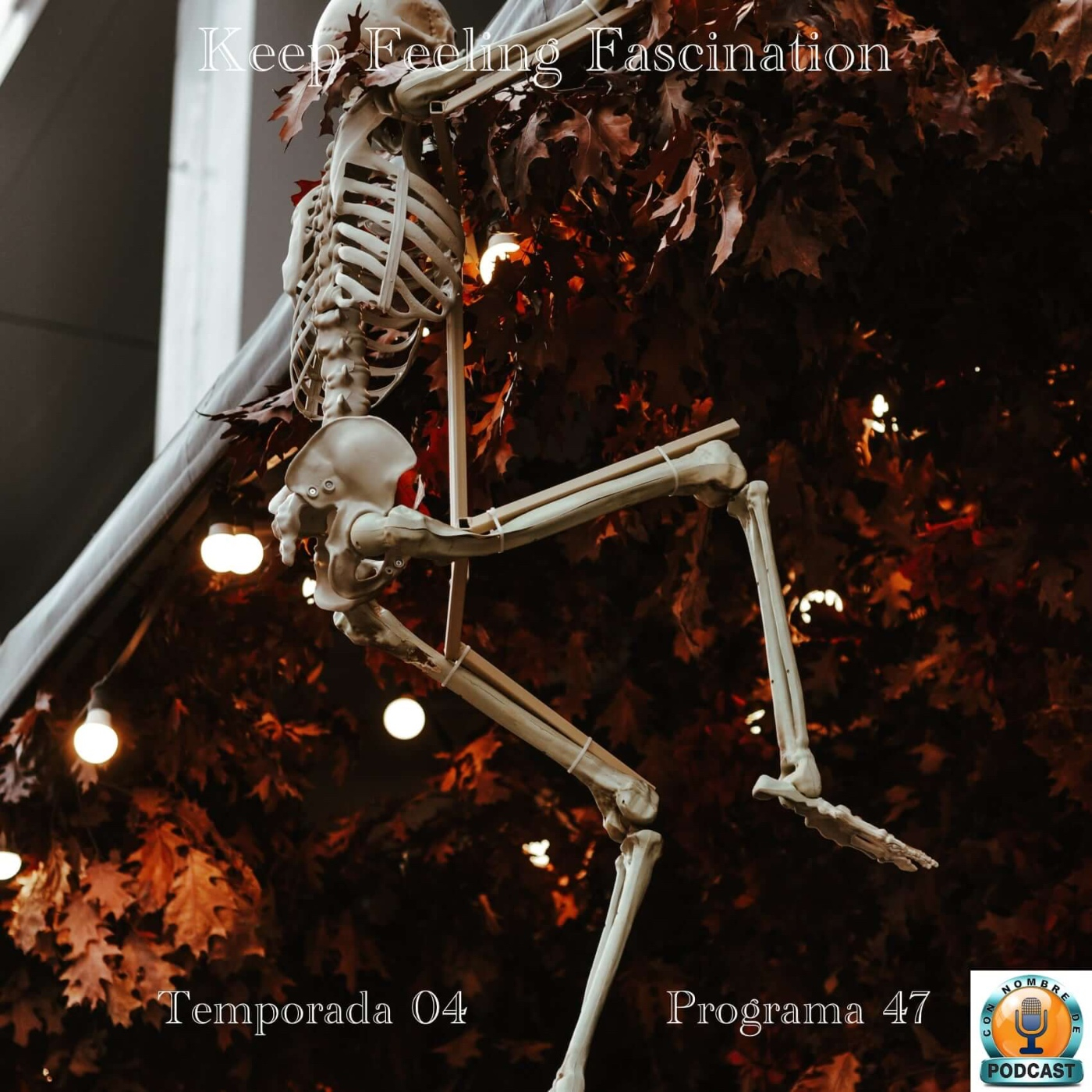Keep Feeling Fascination