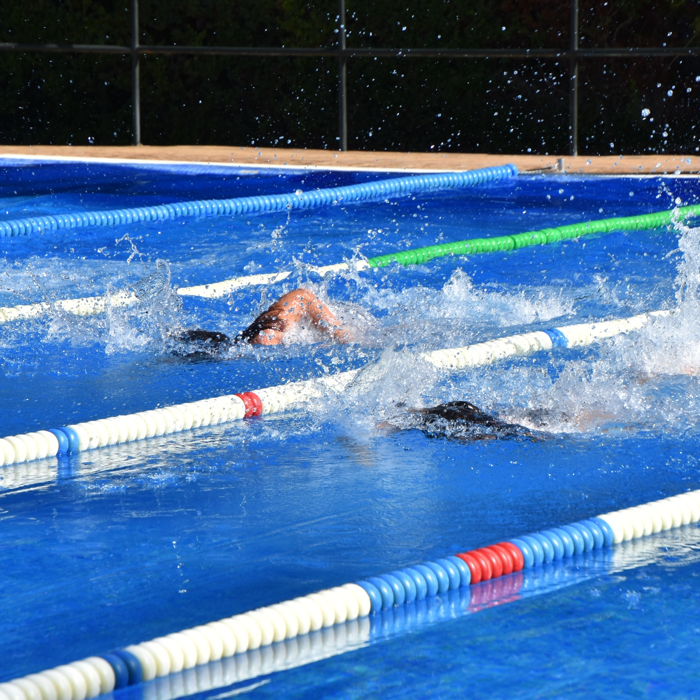 Deporte en verano y clausura del 1 turno de natación episode artwork
