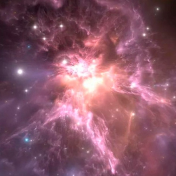 embed image