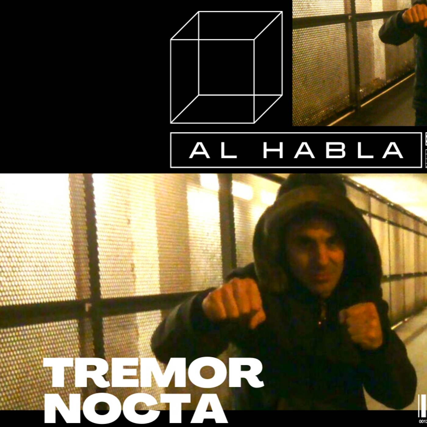 Al Habla 808: Javier Diéz Ena es Tremor Nocta episode artwork
