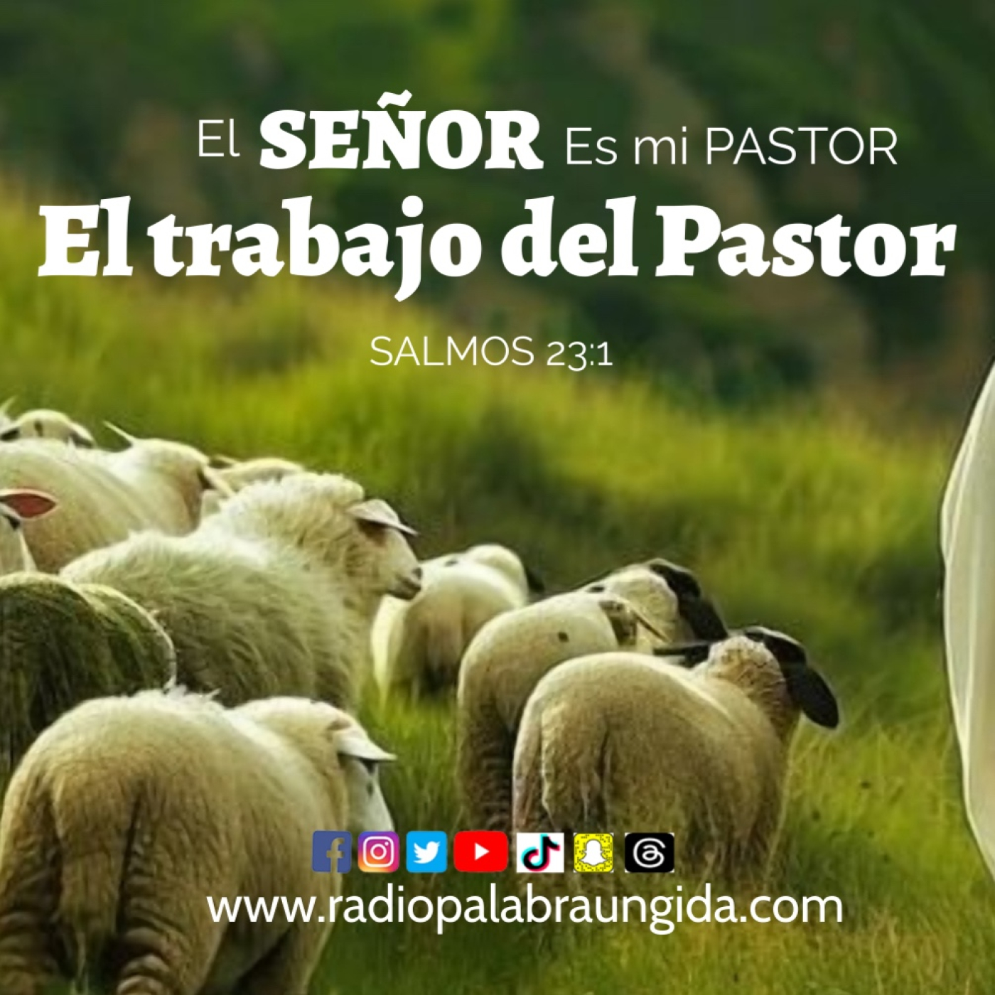 El tarabajo del Pastor /Edgar Calderon/Palabra Ungida episode artwork