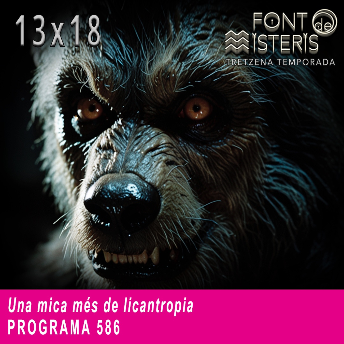 Una mica més de licantropia (T13- Programa 586)