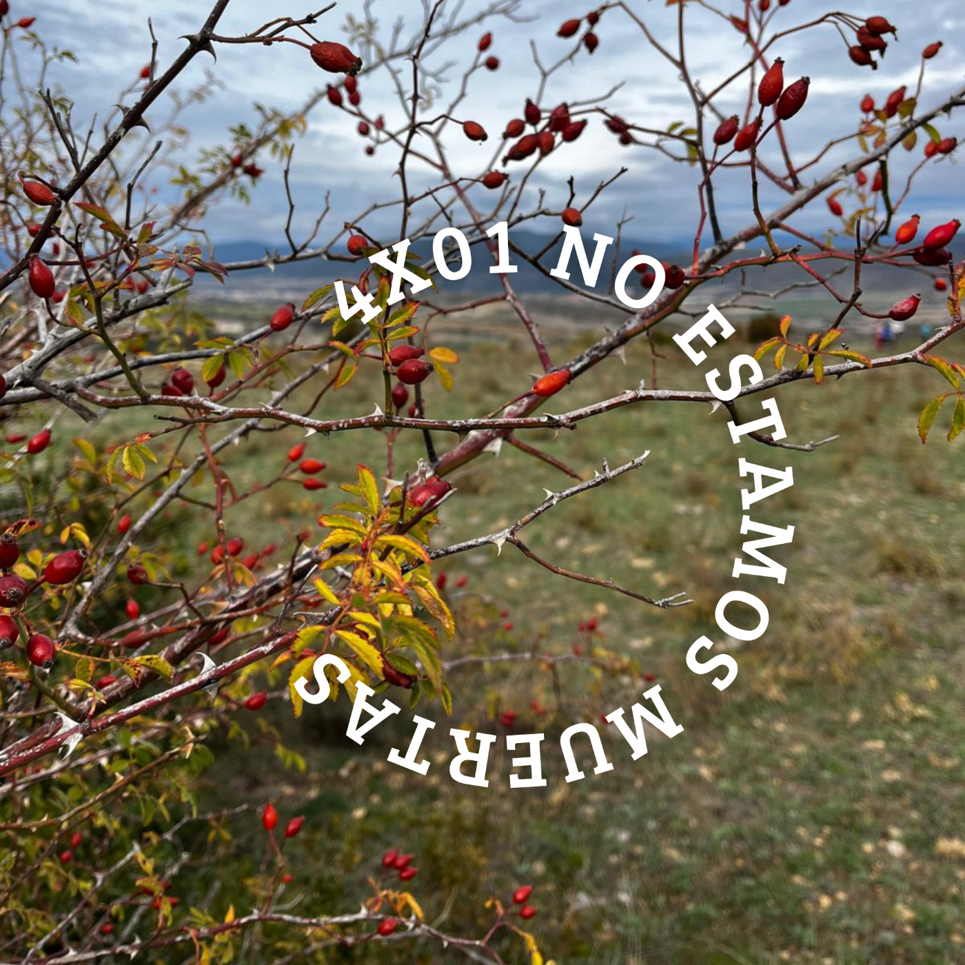 4x01 No estamos muertas episode artwork