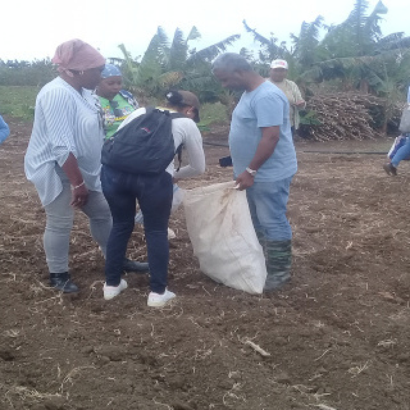 Producir alimentos para el pueblo,prioridad en Contramaestre episode artwork