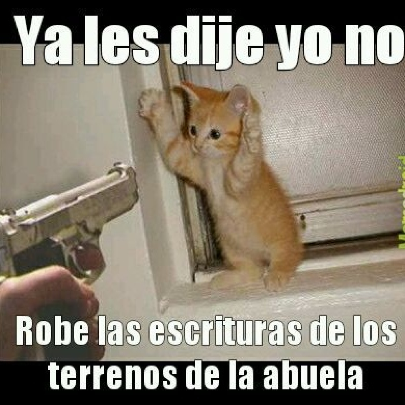 PÁLIDO Y DURO (UN PROGRAMA DE HUMOR)