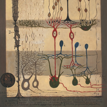 embed image