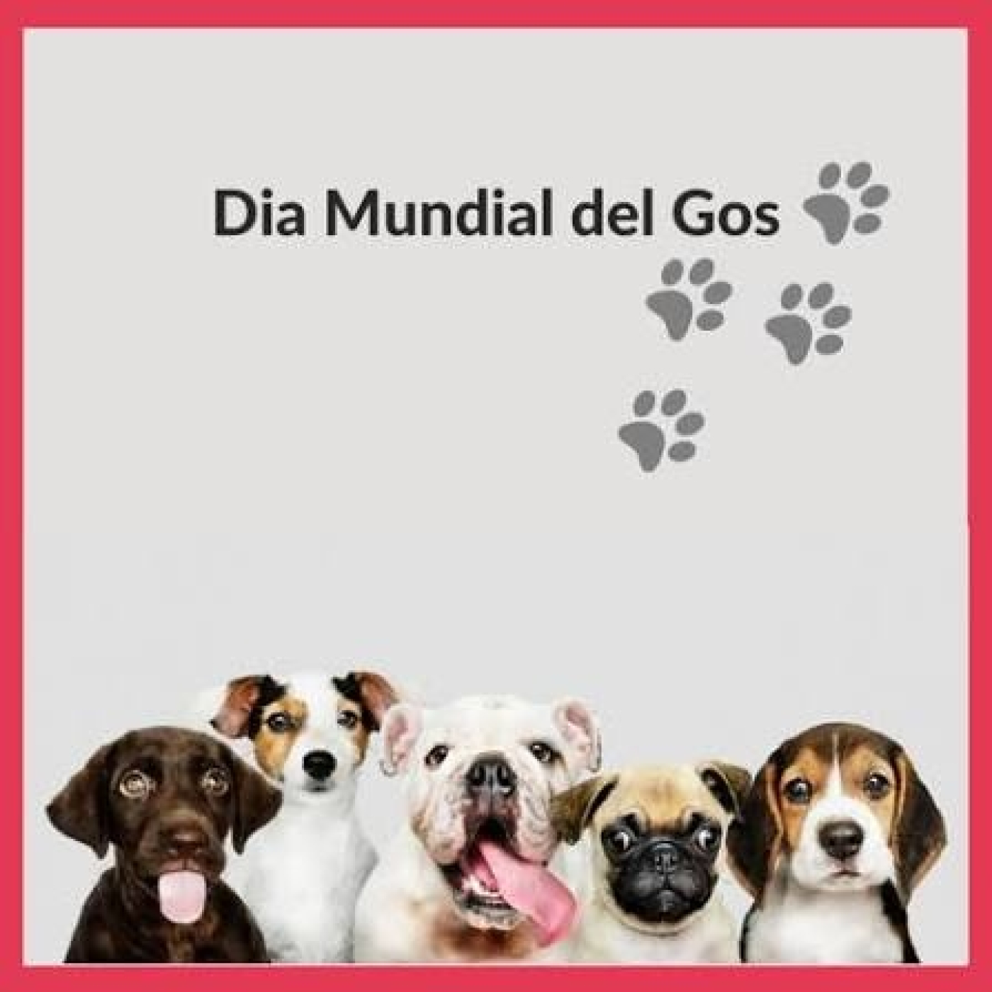 Editorial del Persianes 21 - Juliol - 2026 (Dia Mundial dels Gossos) episode artwork