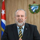 embed image