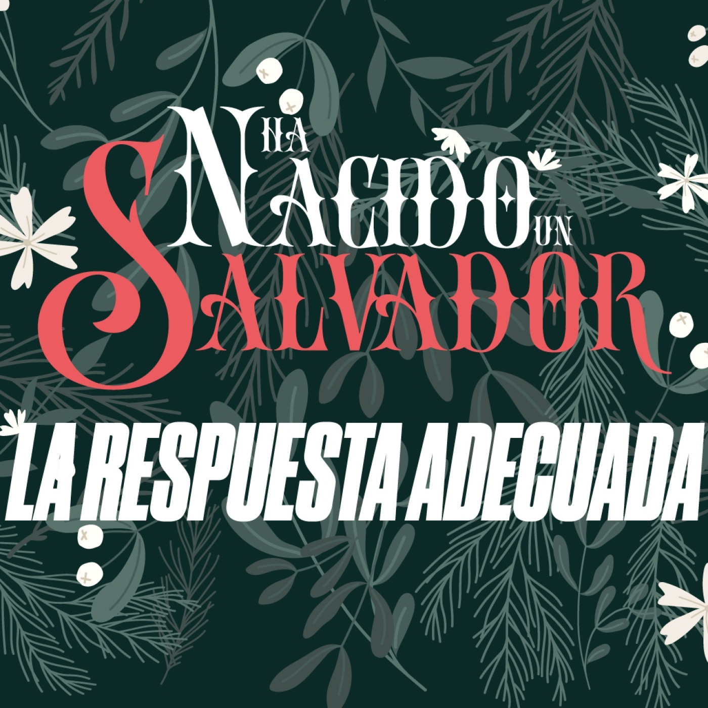 LA RESPUESTA ADECUADA serie: HA NACIDO UN SALVADOR episode artwork