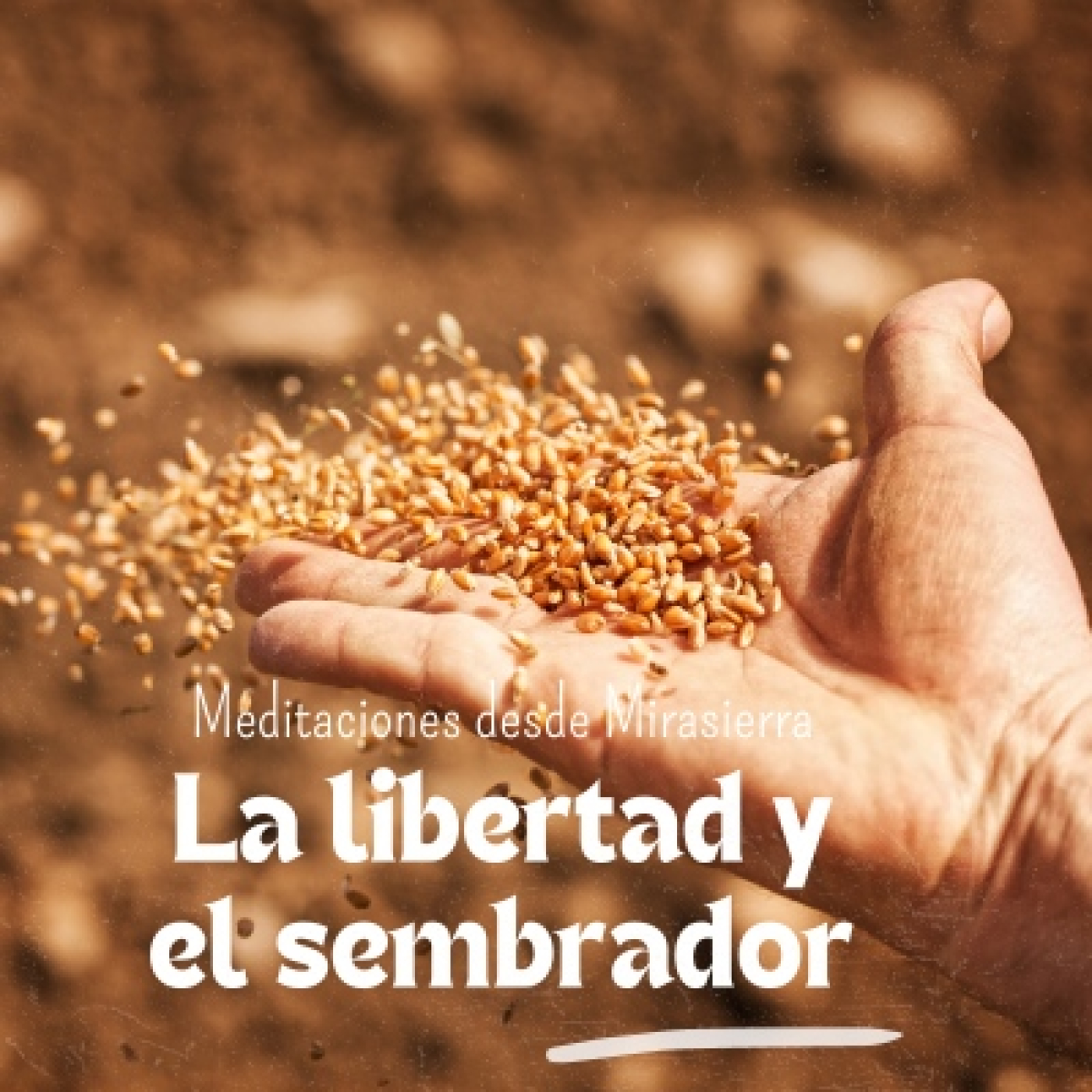 Meditaciones desde Mirasierra
