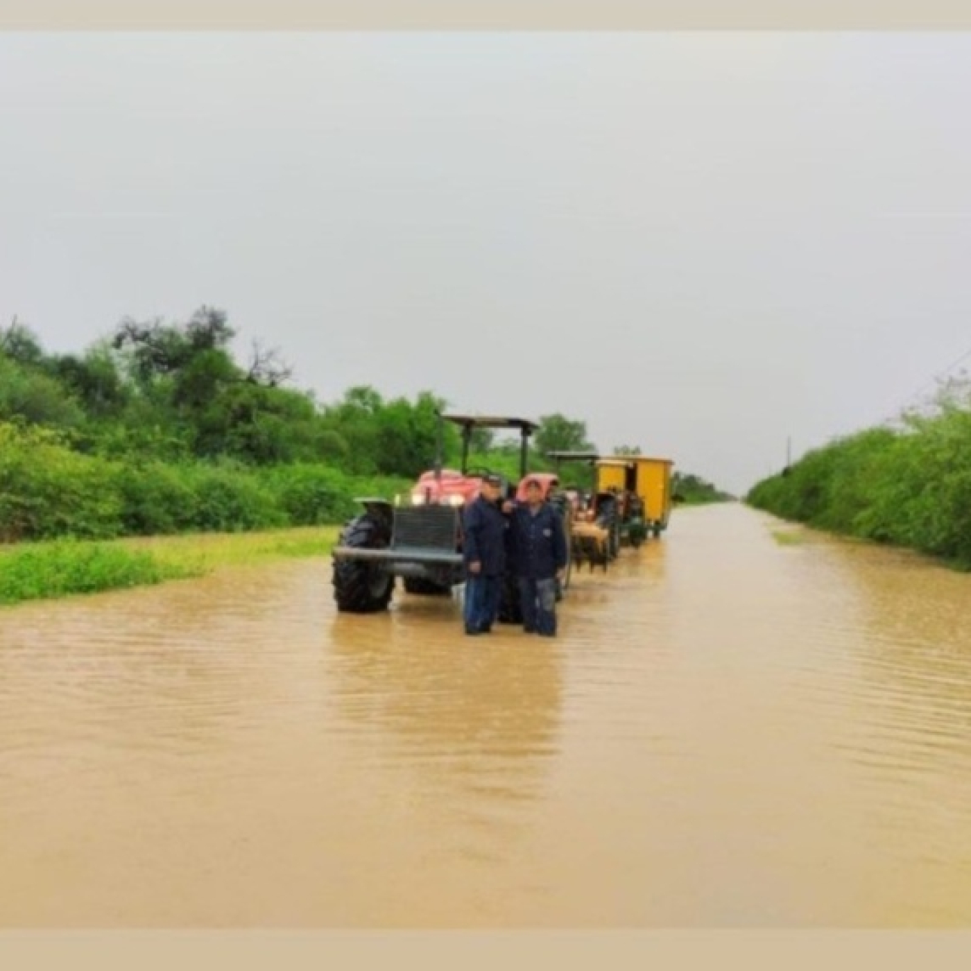DEVUELVAN NUESTRA TIERRA