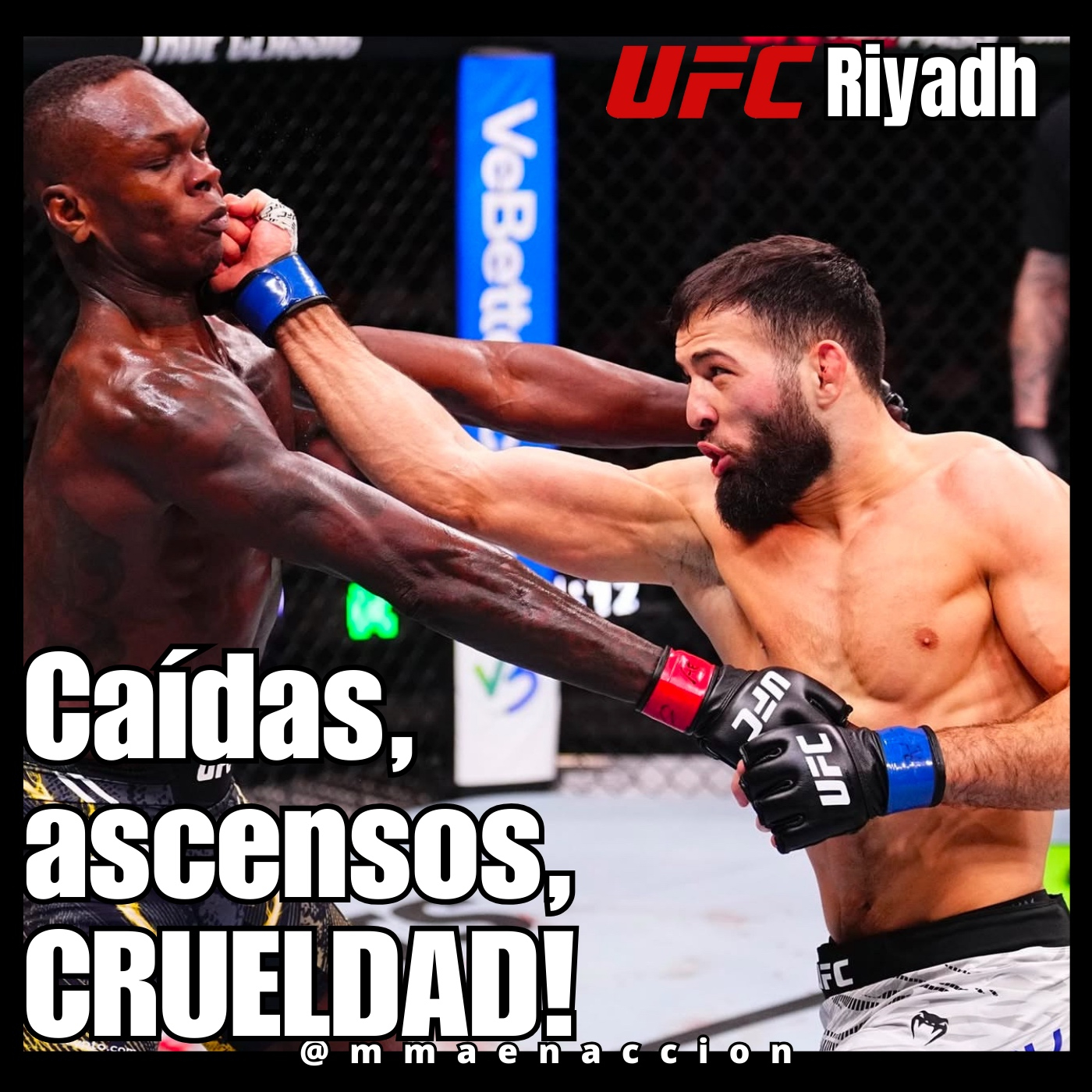 MMA en acción