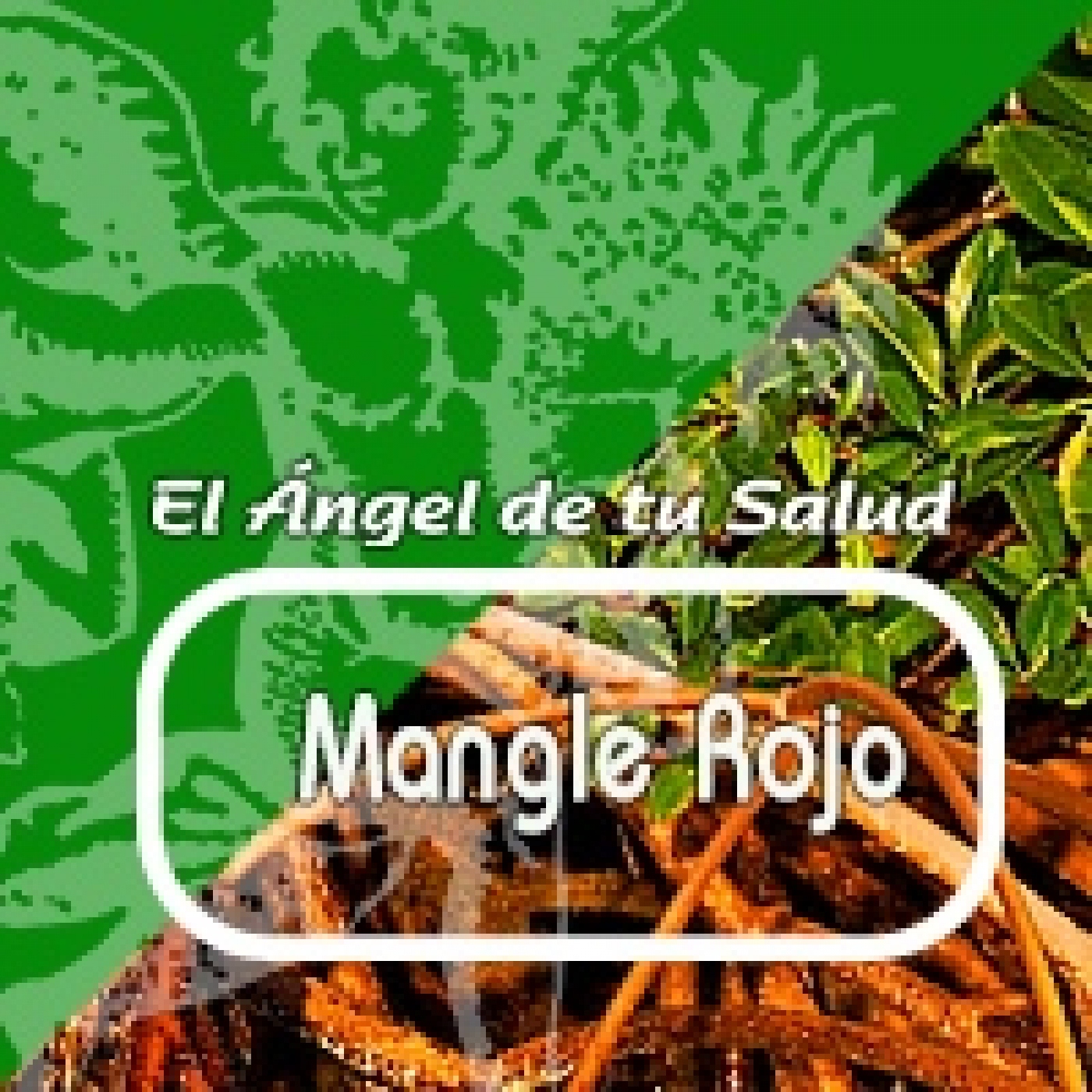 El Ángel de tu Salud - MANGLE ROJO**
