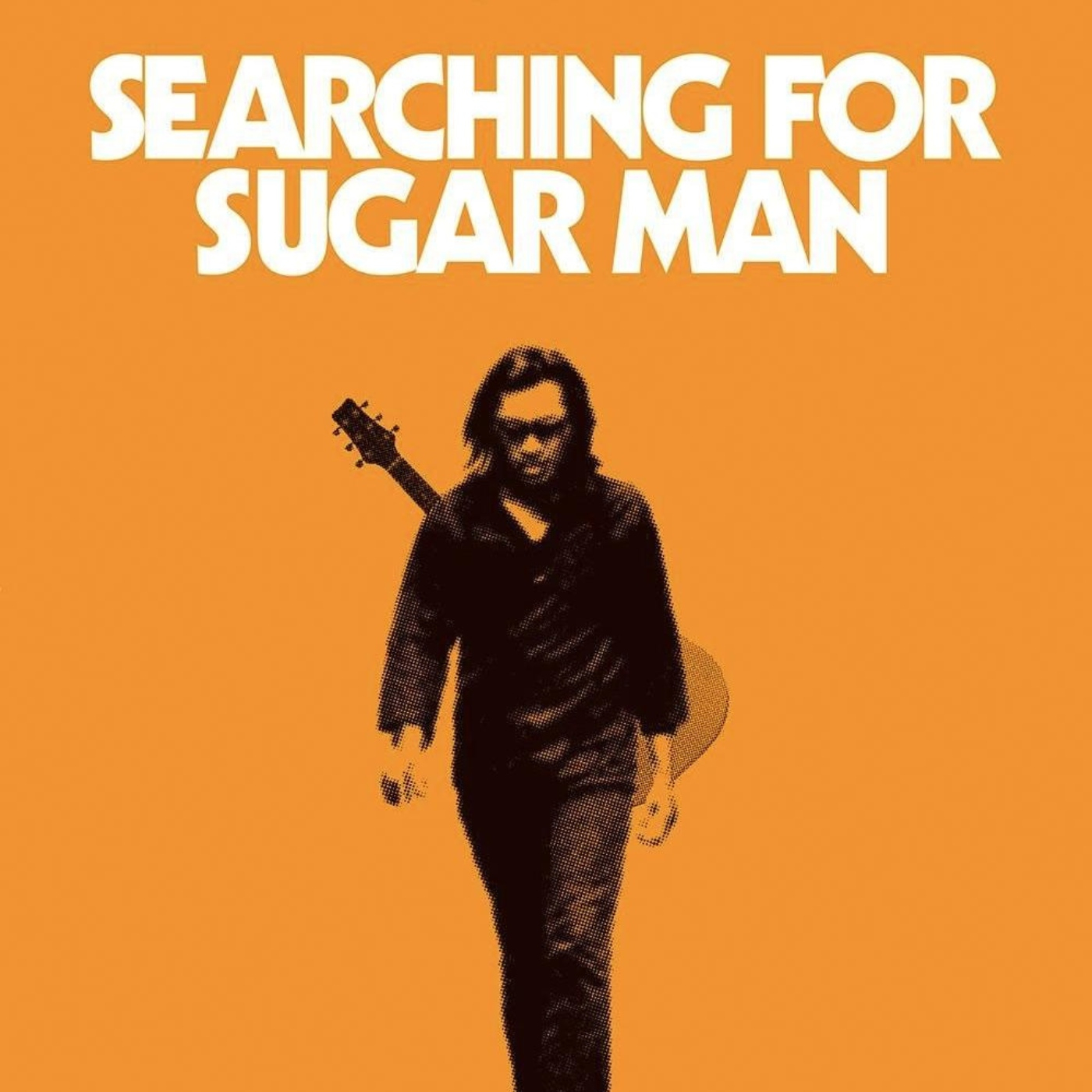 Los detectives musicólogos. Buscando a Rodriguez. Searching for sugar man.