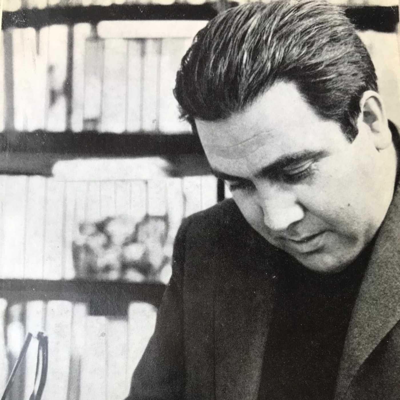 José Luis Martín Descalzo. Pájaro solitario 9