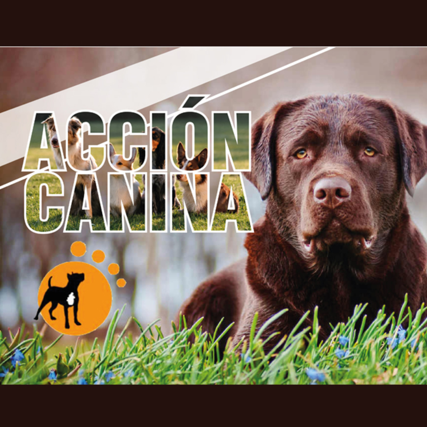 Acción Canina