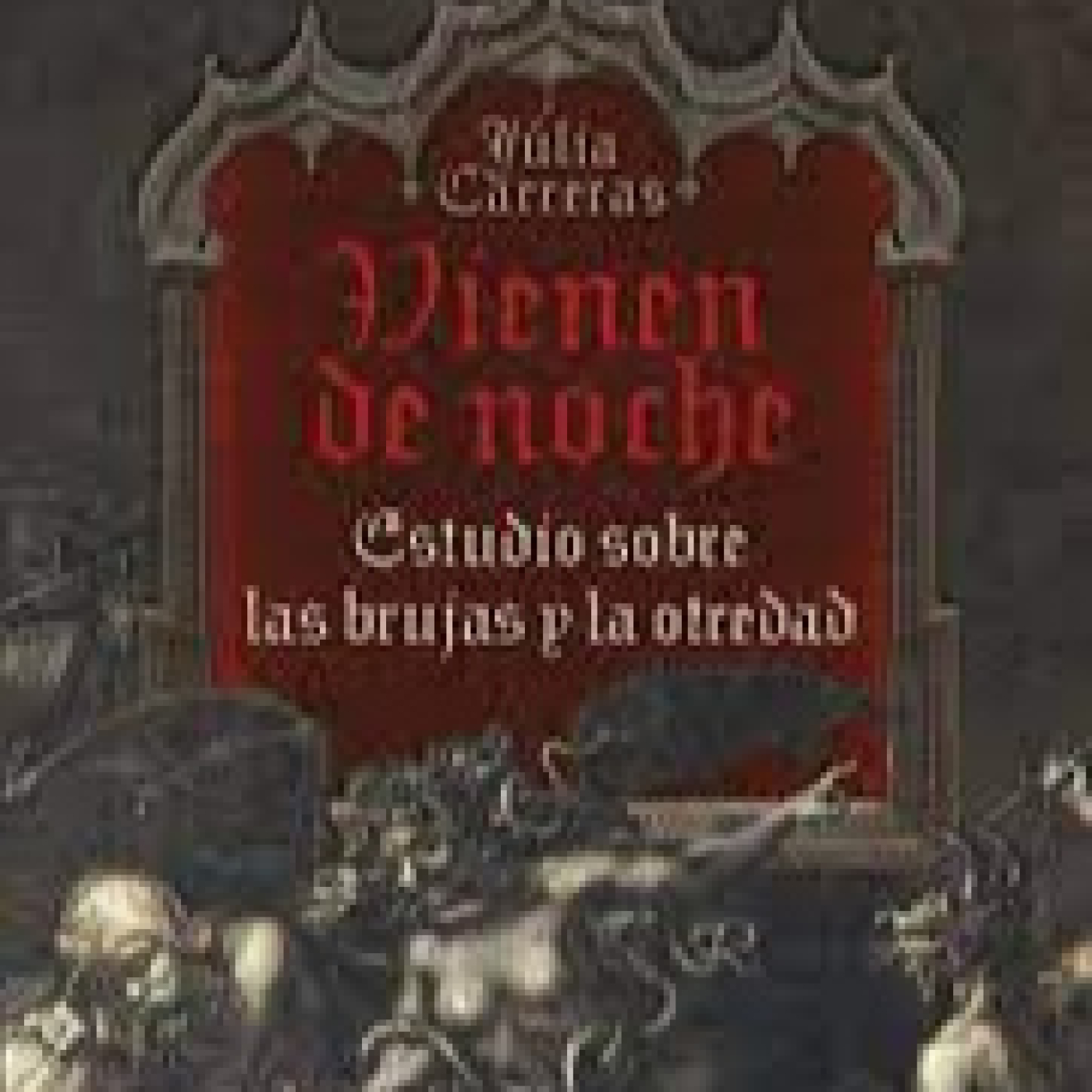 Club de lectura MEV "Vienen de noche de Julia Carreras"