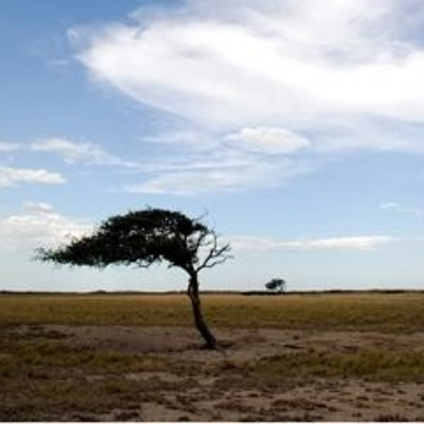 Viento del sur