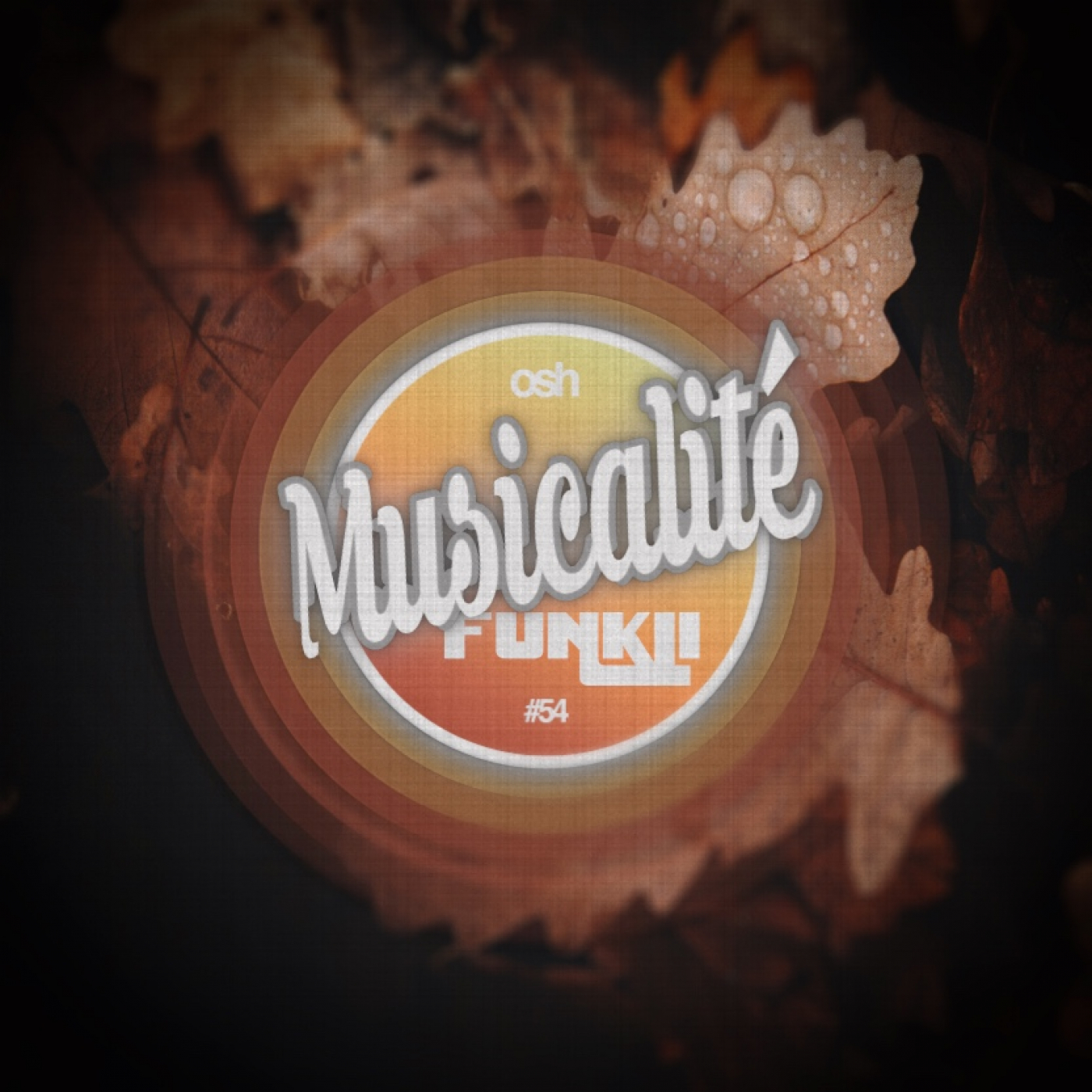 MUSICALITÉ sessions - OSH