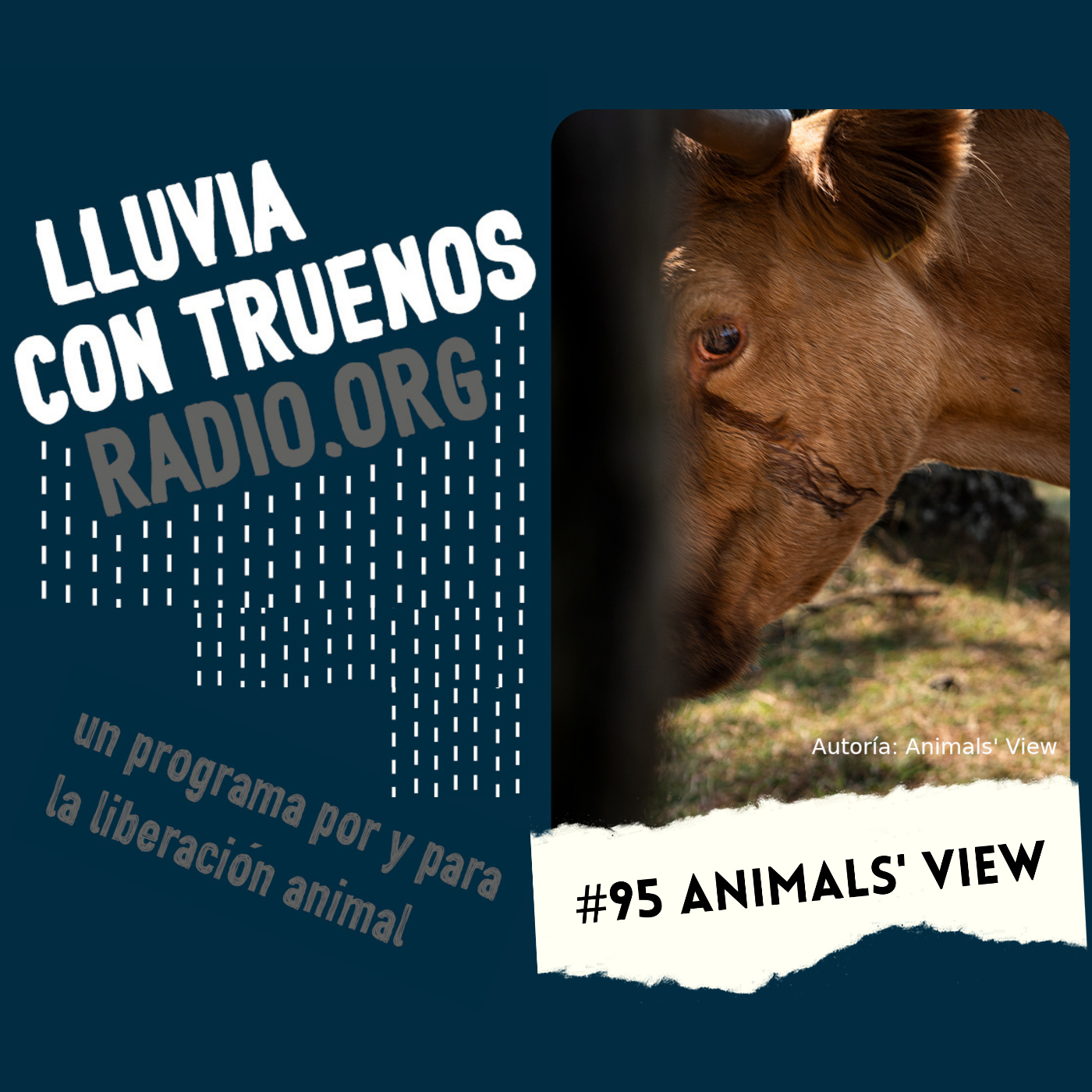 Lluvia con truenos radio