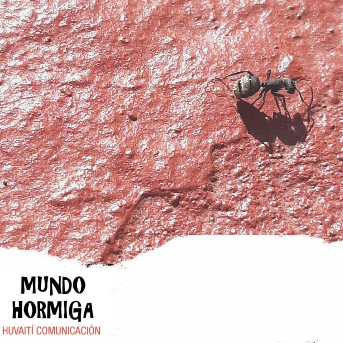 Mundo Hormiga 17 de enero de 2021 episode artwork