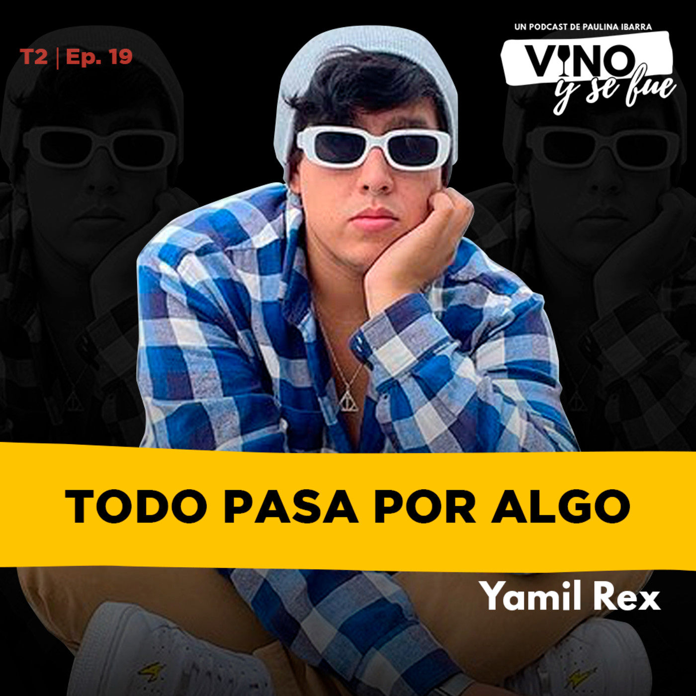 Vino y se fue