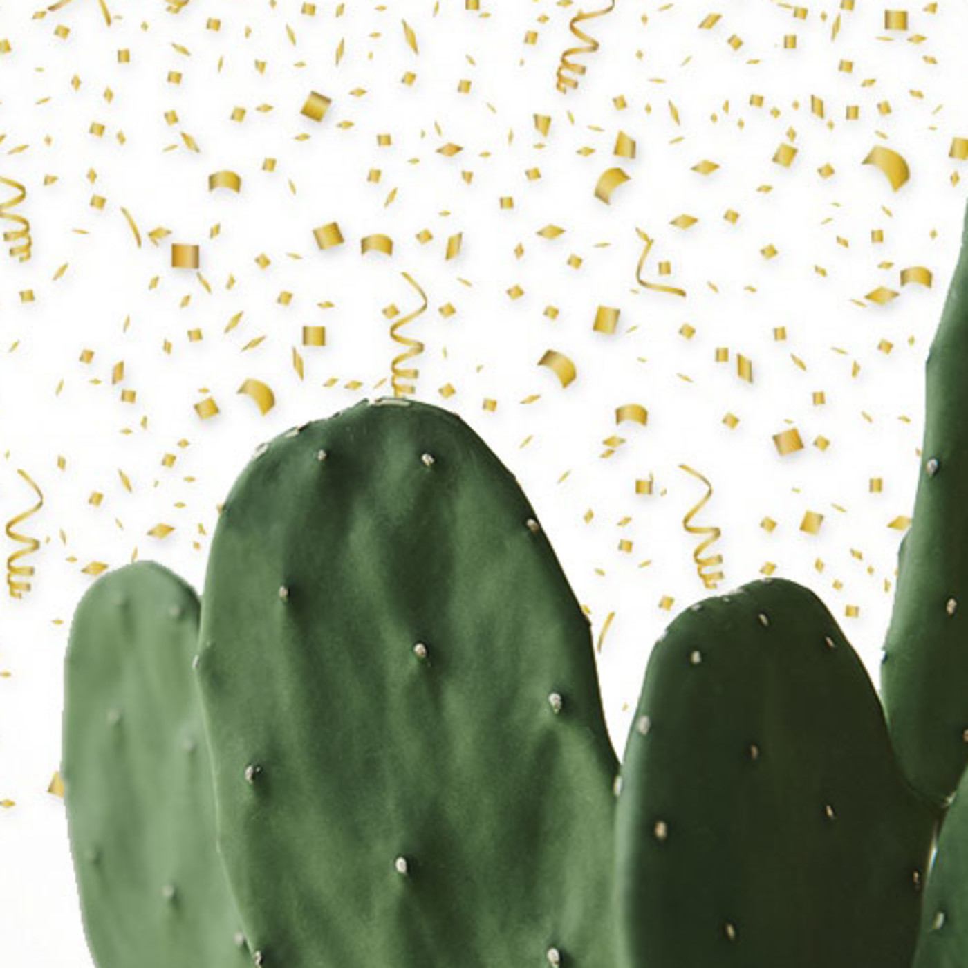 Cactus Confetti