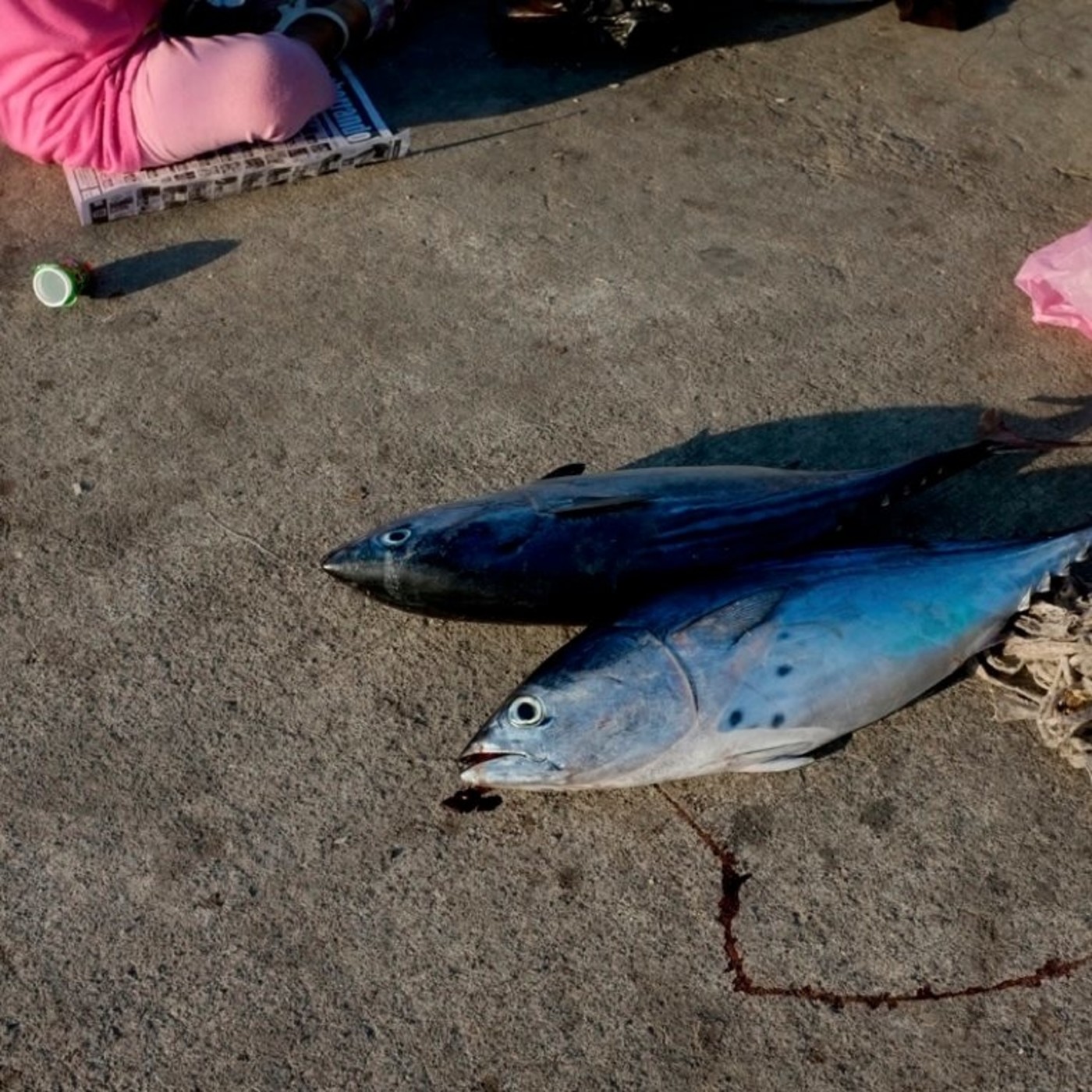 Podcast de InFocusRadio