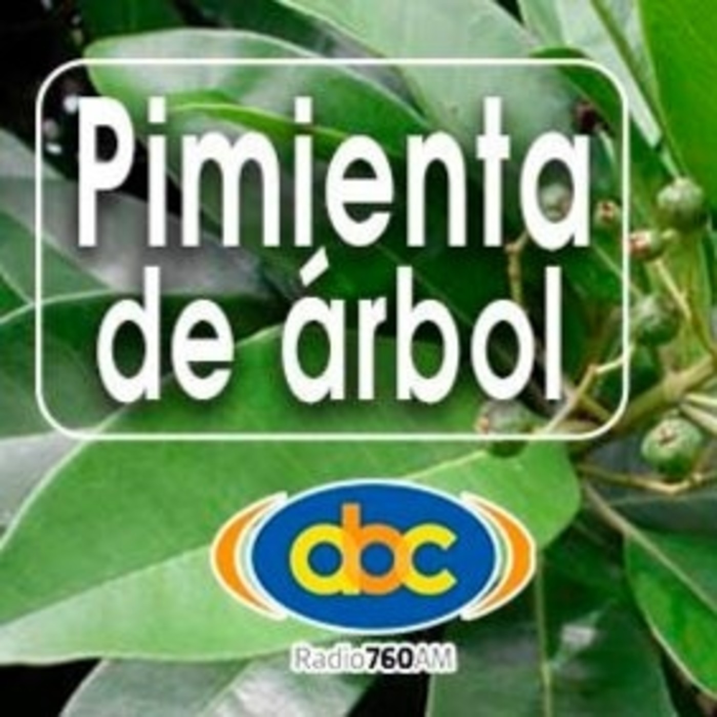 El Ángel de tu Salud - PIMIENTA DE ÁRBOL episode artwork