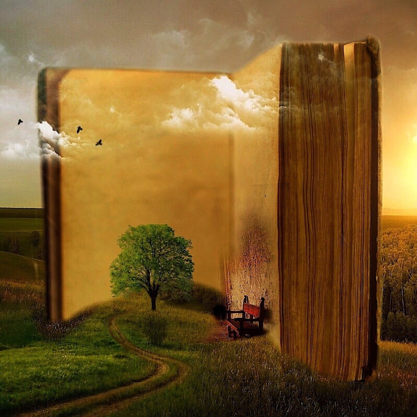 LA VIDA ES POESÍA