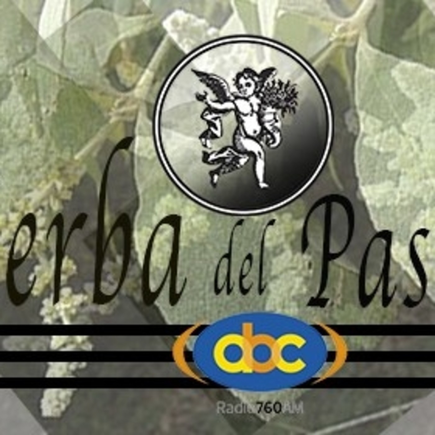 El Ángel de tu Salud - HIERBA DEL PASMO episode artwork