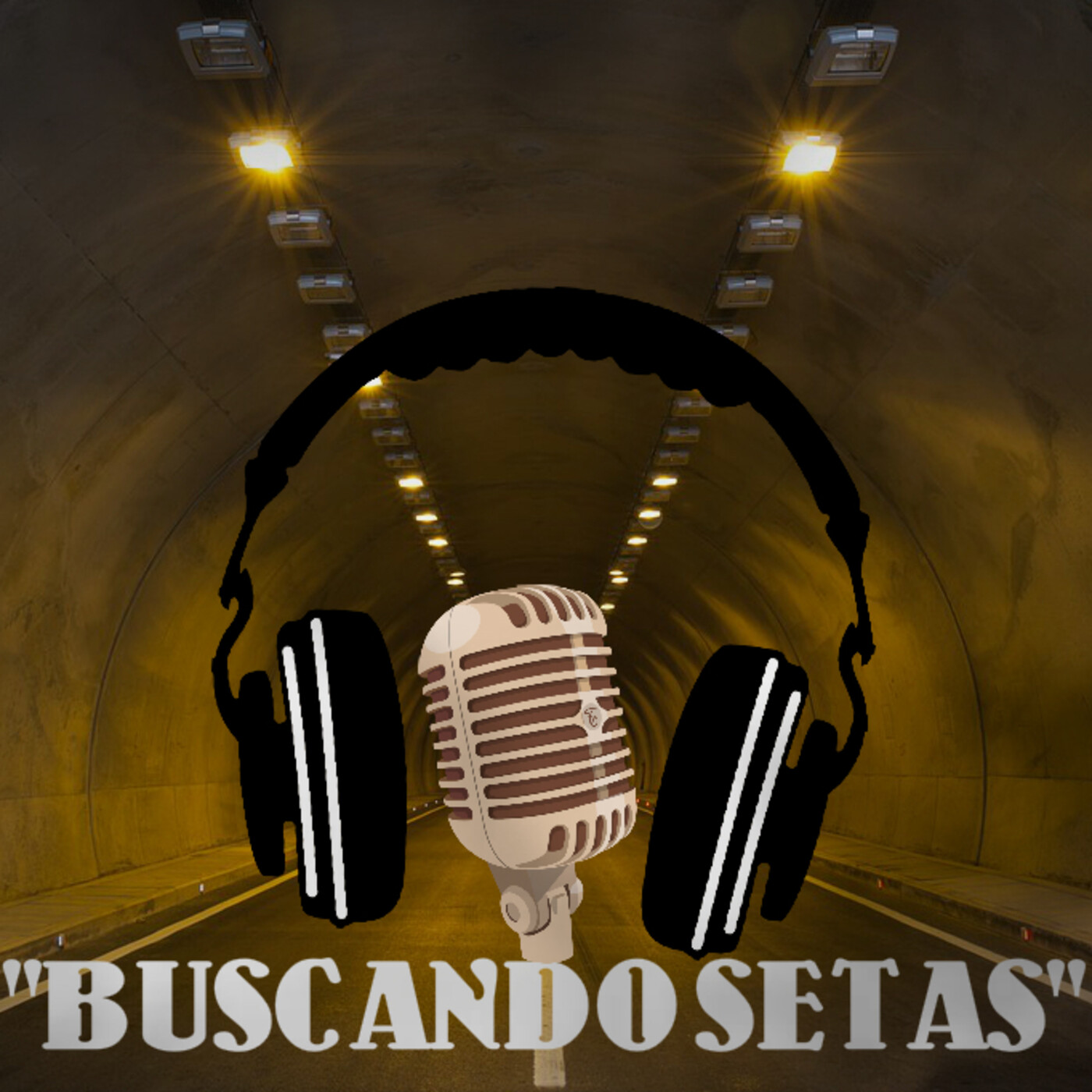 PROGRAMA BUSCANDO SETAS