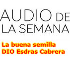 Audio de la semana - La buena semilla