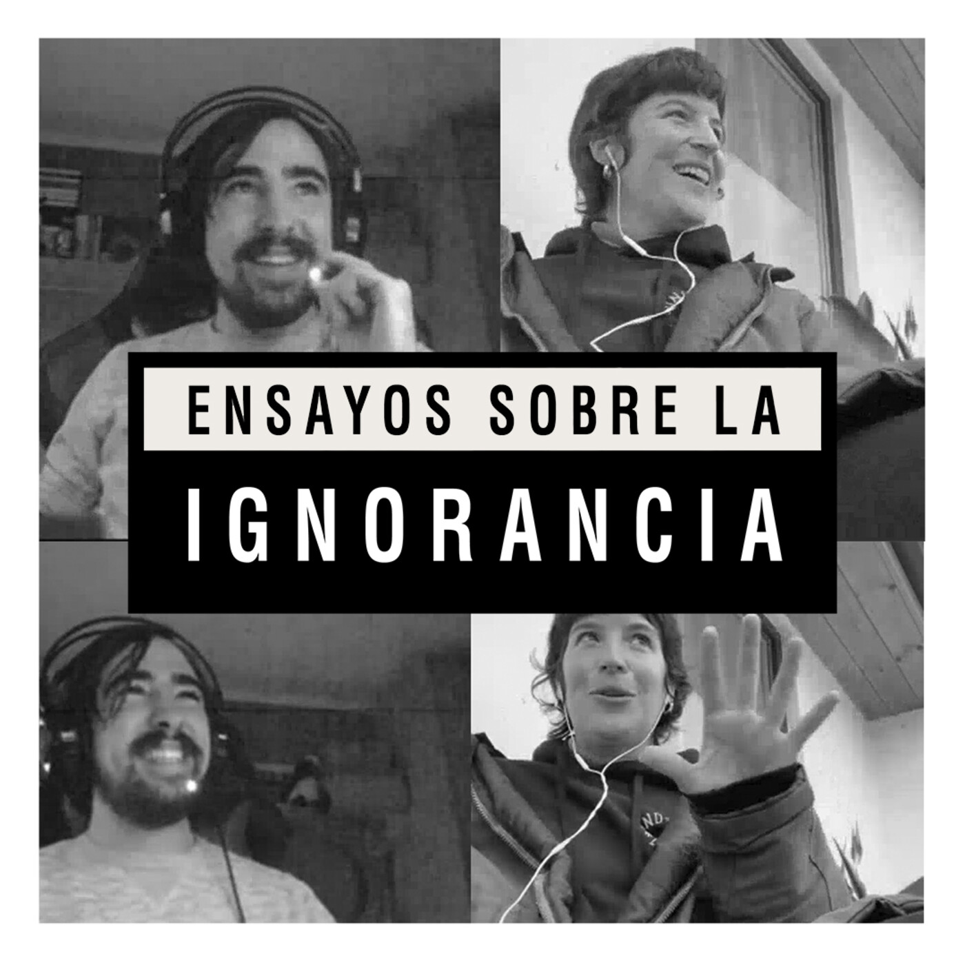 Ensayos sobre la ignorancia