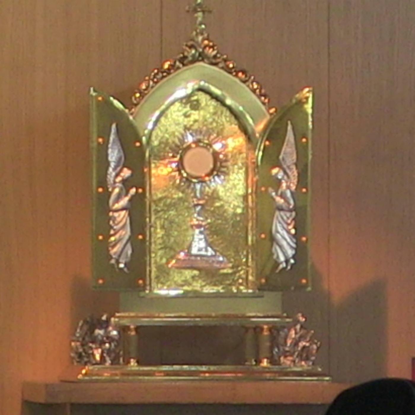 Adoraciones Samaritanas