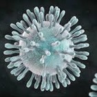 El Club de los Curiosos nº54: Coronavirus, Alerta Mundial