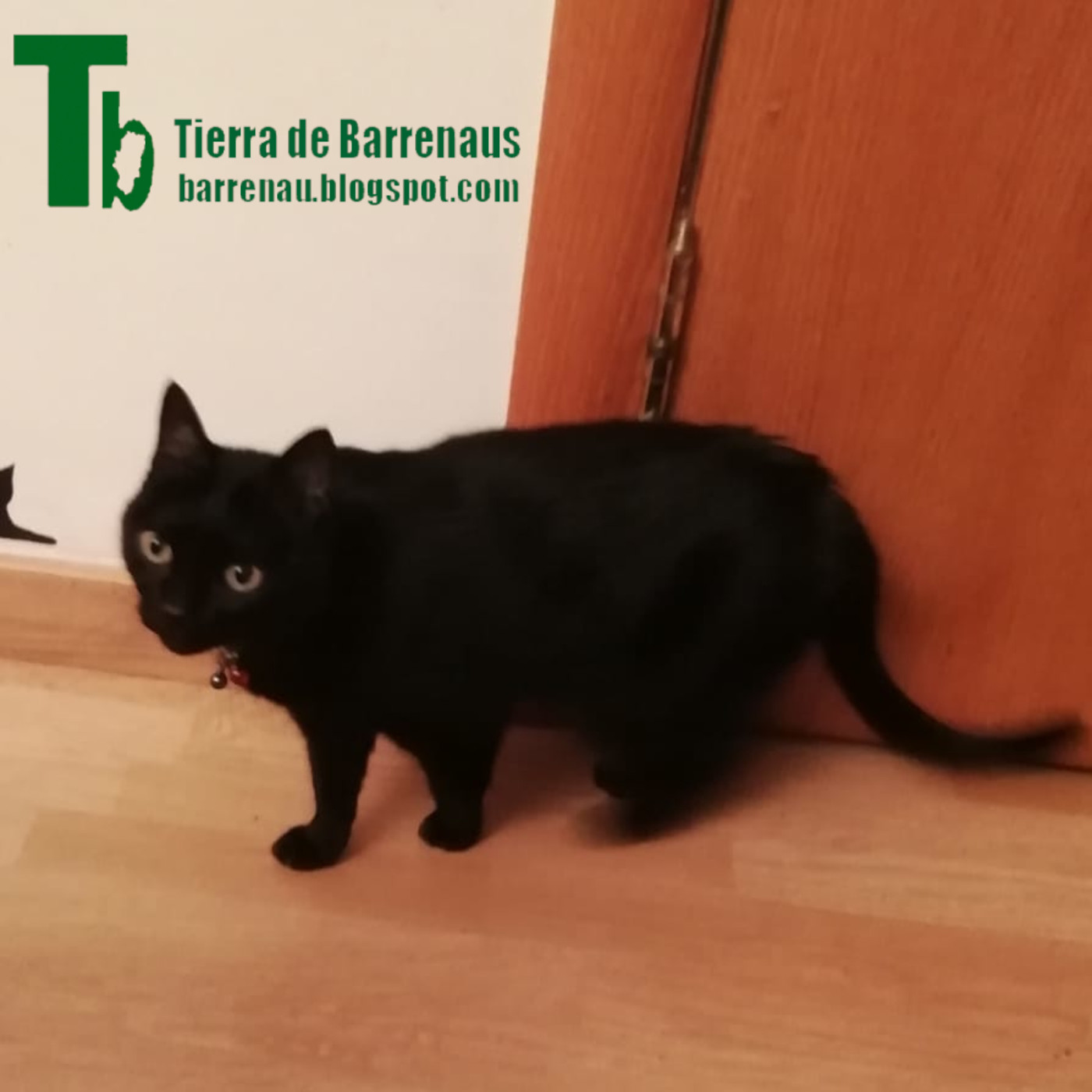 Tierra de varrenadas