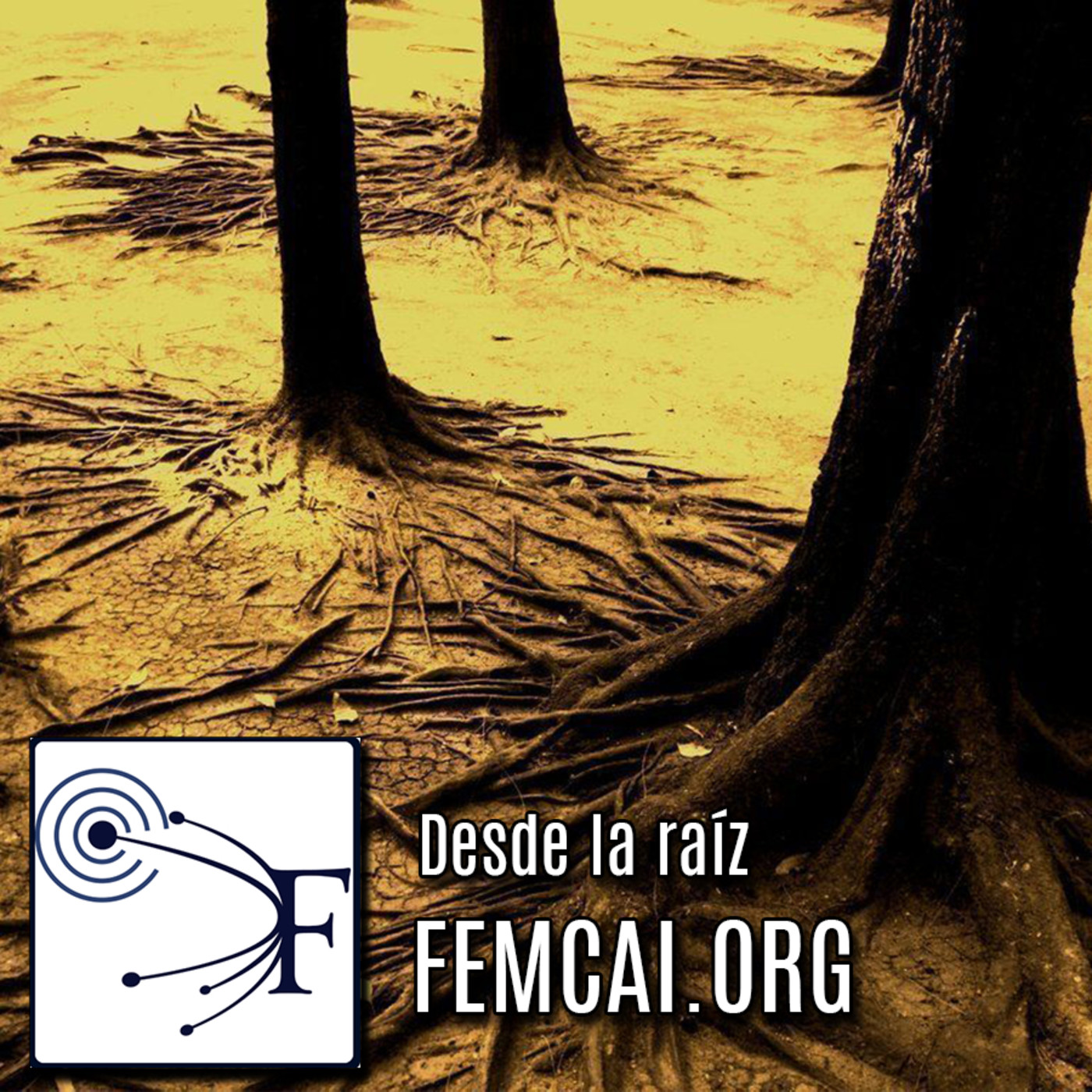 Desde la raíz