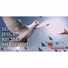 Padre John- Reflexión evangelio madrugada del 07 de Mayo de 2019