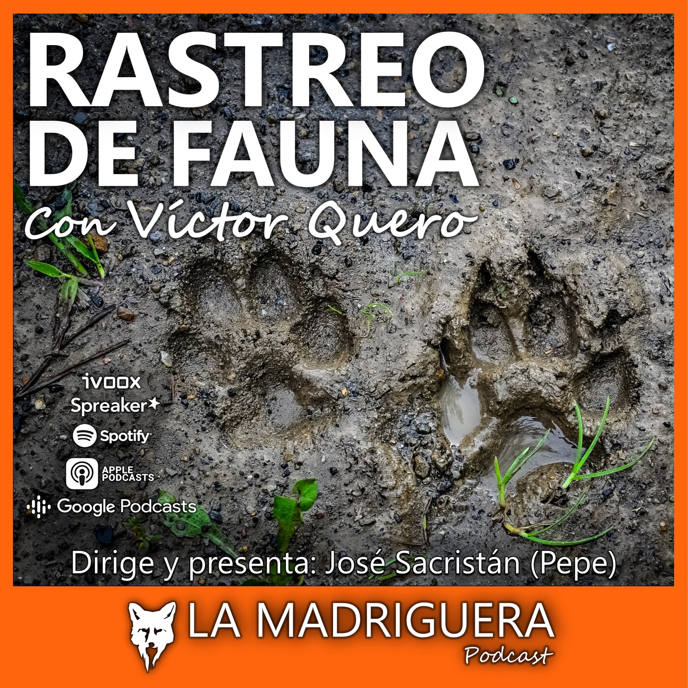 LA MADRIGUERA