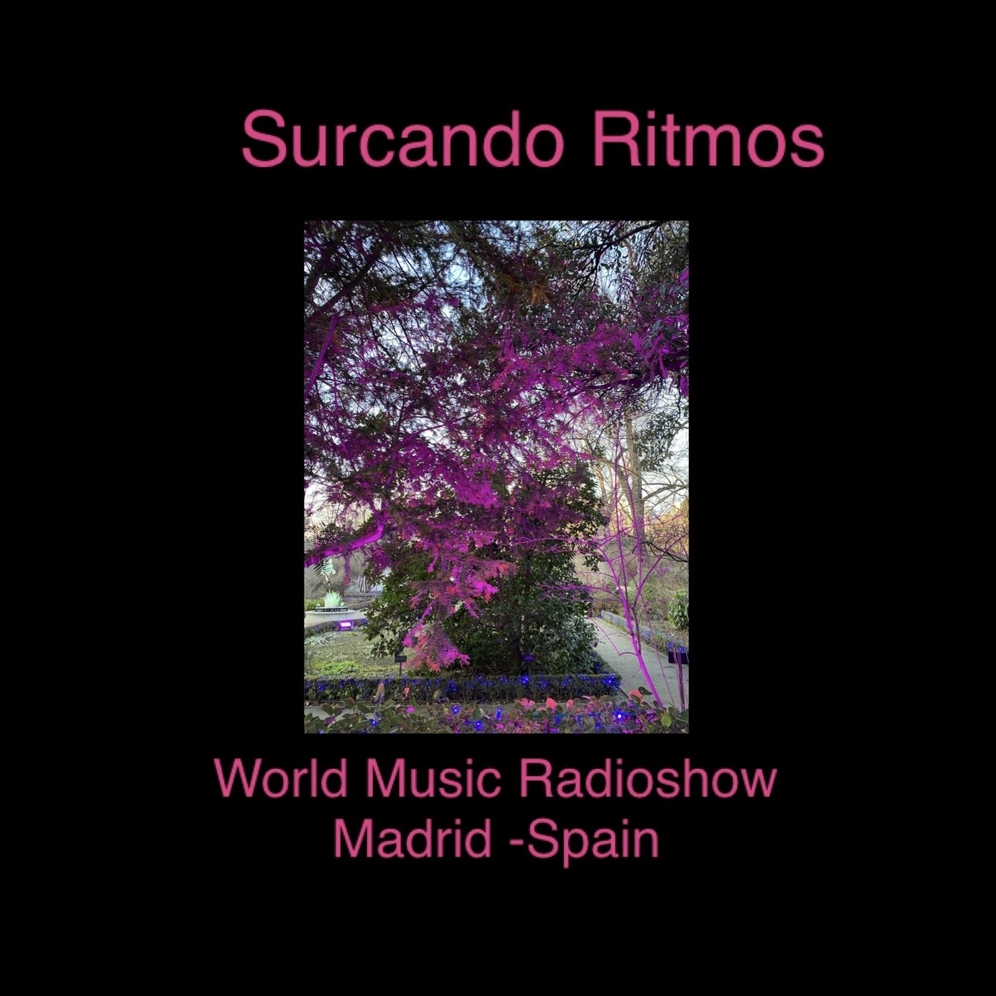 Surcando Ritmos