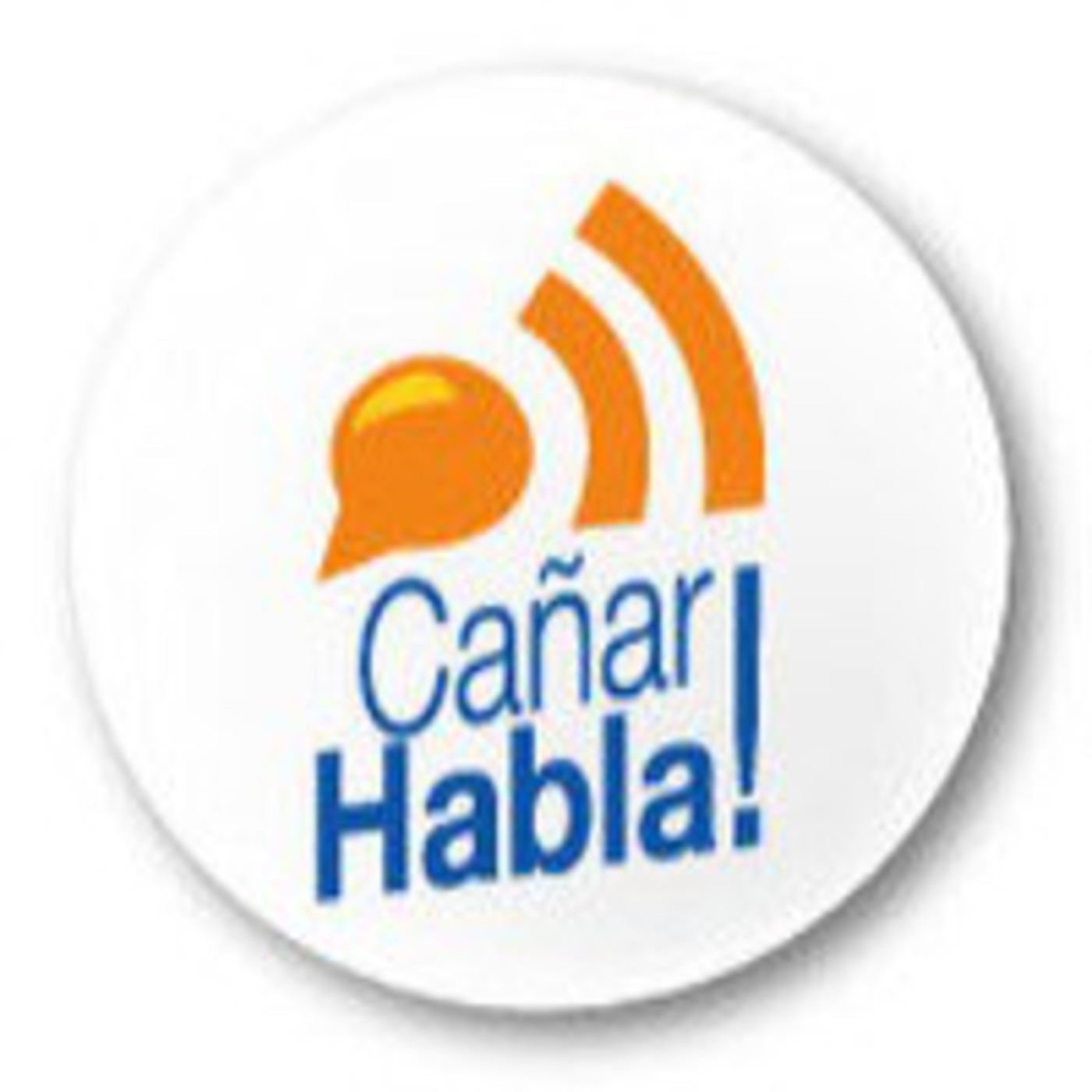 PROGRAMA ITINERANTE CON EL BANCO DEL ESTADO episode artwork
