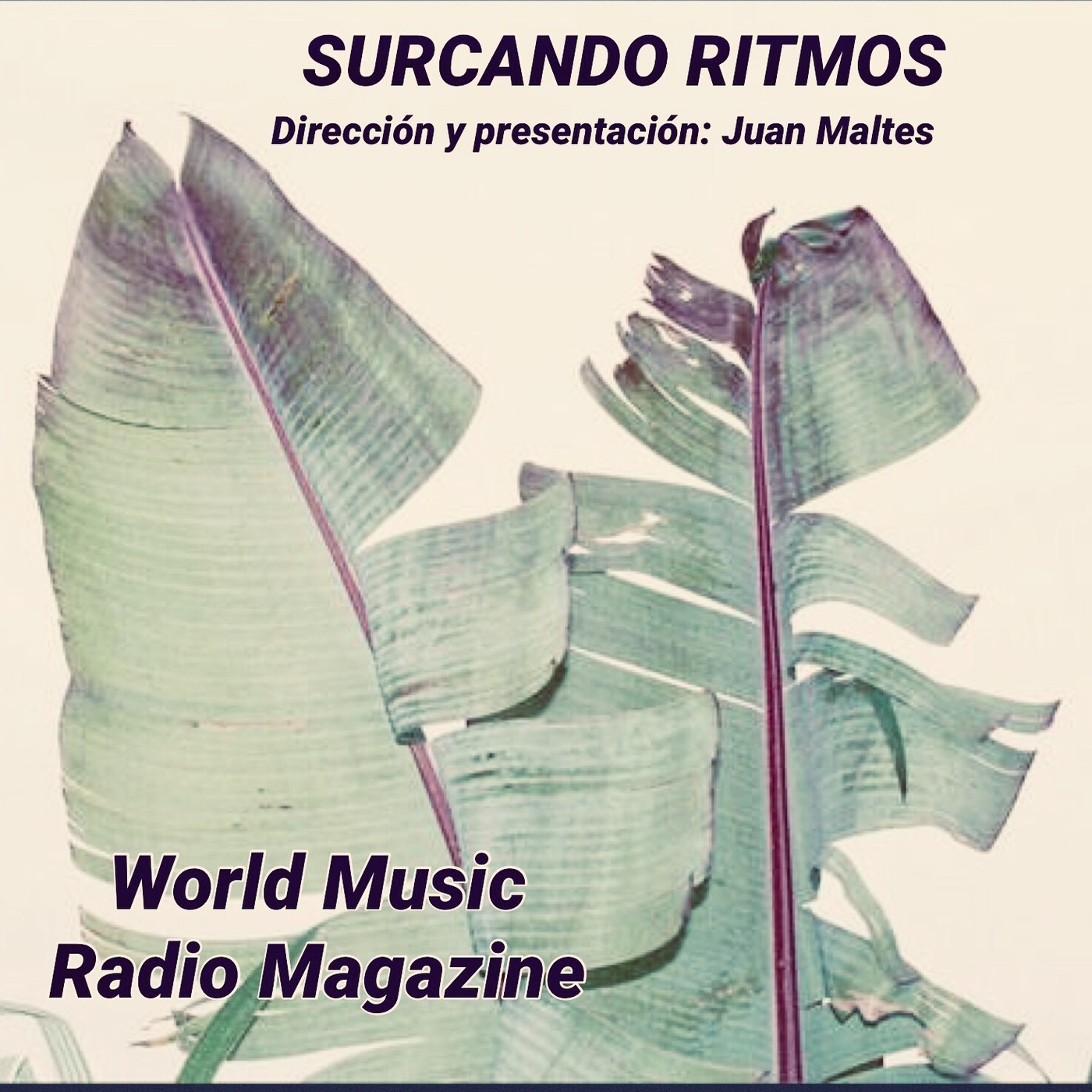 Surcando Ritmos