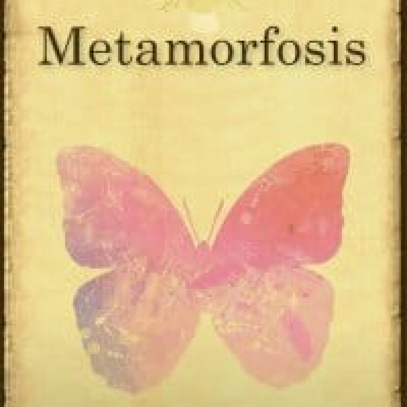 Metamorfosis, de Ovidio, Libro 7